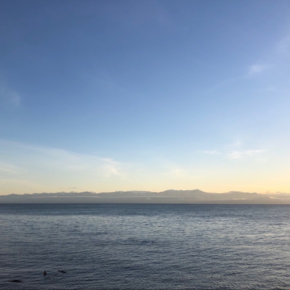 Meet your Posher, Carla - Picture 1 of 1